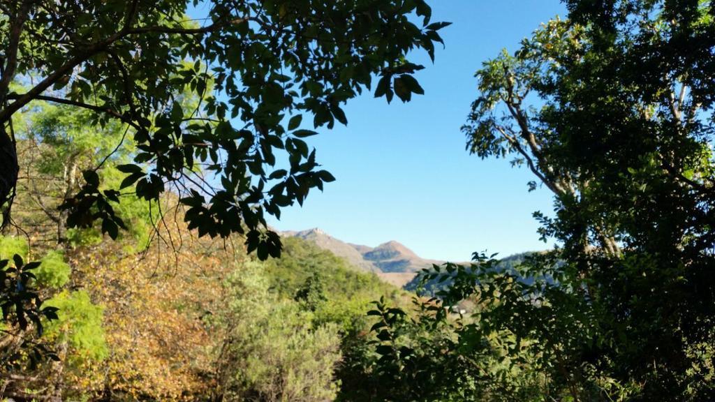 Berg Treat Vila Champagne Valley Quarto foto